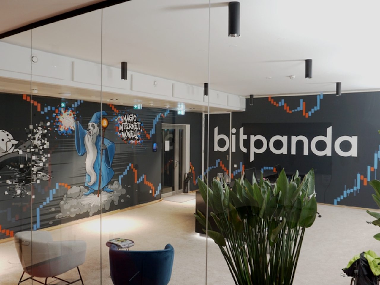 التوأم الشرير لـبيتباندا Bitpanda كيف تقوض النسخ المستنسخة الثقة في بورصات العملات المشفرة