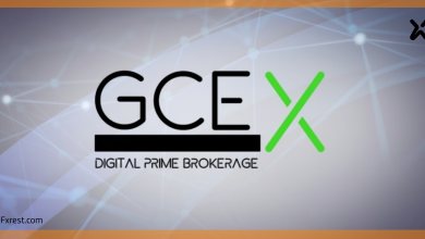 ارتفاع إيرادات GCEX بنسبة 64% في 2024 إلى 3.8 مليون جنيه إسترليني
