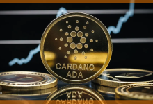 كاردانو تقترب من مستويات تاريخية وقيمة سوقية تتجاوز التوقعات