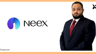 شركة Neex تعين هيثم عبدالحليم رئيسًا لتطوير الأعمال