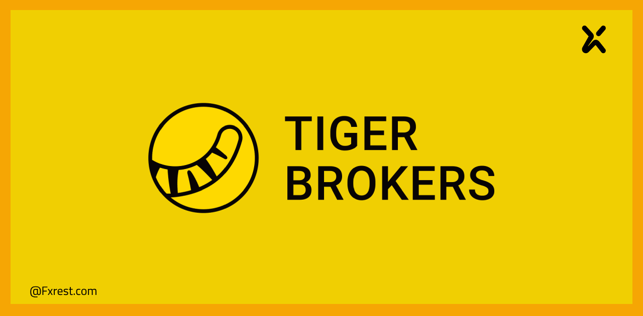 Tiger Brokers تسجل أرباحًا تاريخية وتضيف آلاف العملاء في بداية 2025
