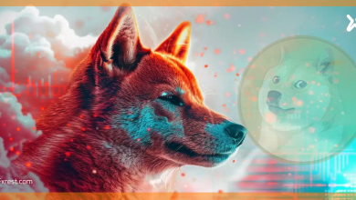 عملة الدوجكوين (DOGE/USD)