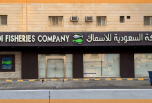تحليل فني لسهم الأسماك