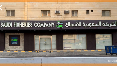 تحليل فني لسهم الأسماك