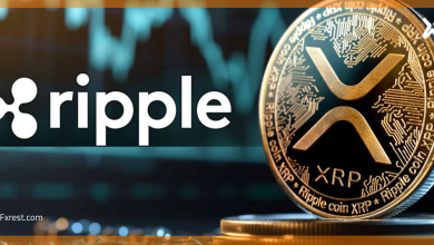 سر قوة الريبل: كيف يحولها المستثمرون إلى أرباح سريعة