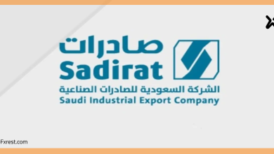 سهم صادرات