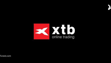أعلنت شركة XTB عن نتائج قوية للربع الثاني من عام 2025