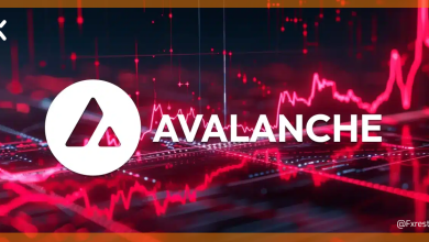 عملة Avalanche (AVAX)