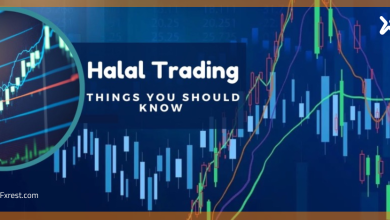 كيف تبدأ استثمارًا حلالًا آمنًا في عام 2025