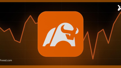 moomoo توسّع خدماتها عبر TradingView