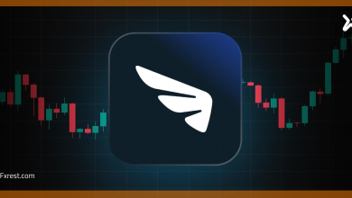 TradingView تضيف Trive إلى قائمة الوسطاء الشركاء