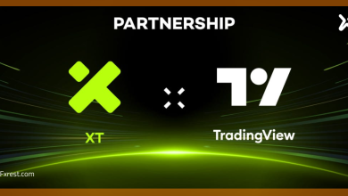 بيانات XT.COM أصبحت متاحة الآن على منصة TradingView