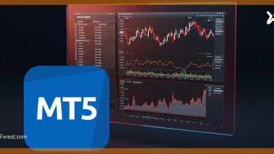MetaTrader 5 ببساطة: شرح عملي للمبتدئين والمحترفين