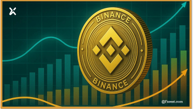 التحليل الفني لعملة بينانس مقابل الدولار (BNB/USD)