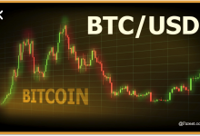 التحليل الفني لزوج البيتكوين مقابل الدولار (BTC/USD)