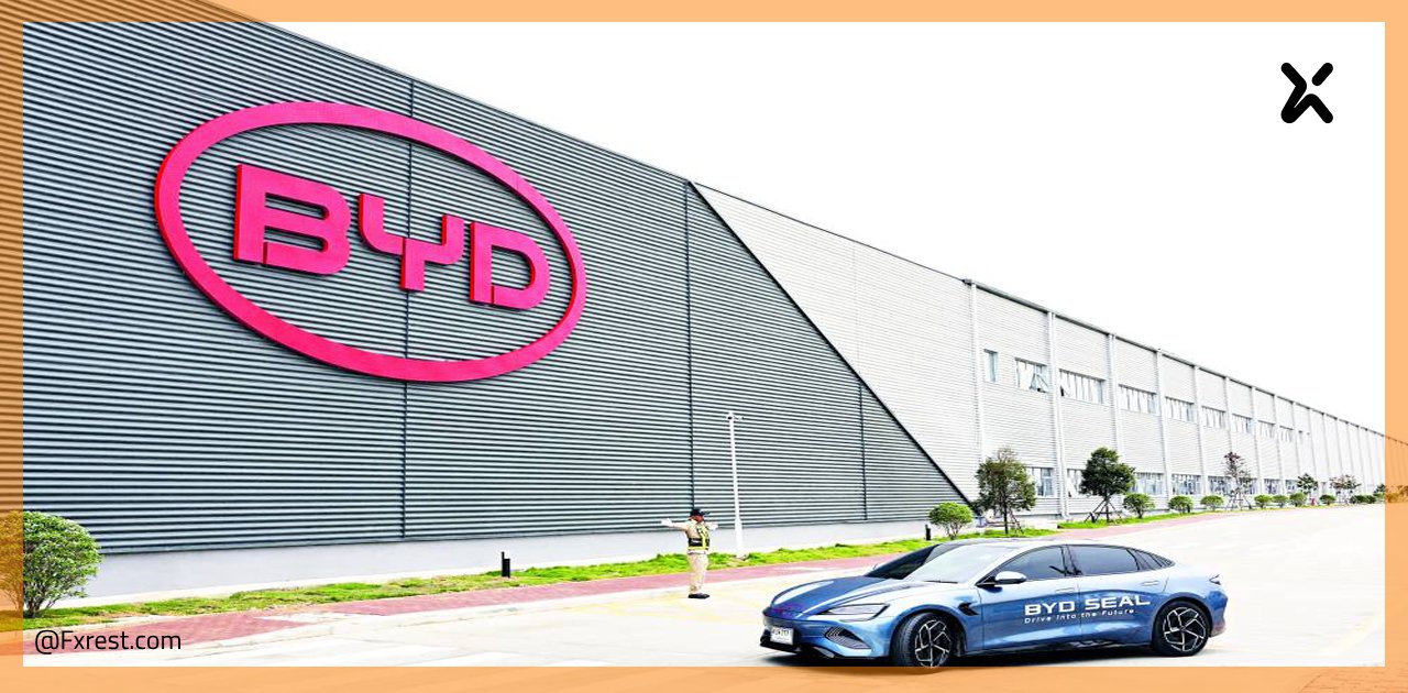 سهم شركة بي واي دي (BYD)