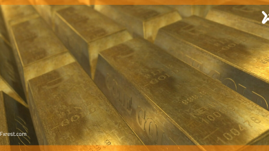 Xetra-Gold تسجل 172.8 طنًا بنهاية 2025