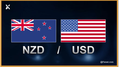 التحليل الفني لزوج الدولار النيوزيلندي مقابل الدولار الأمريكي (NZD/USD)