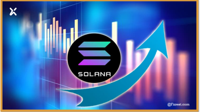 التحليل الفني لعملة سولانا (SOL/USD)