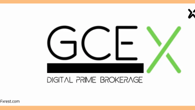 GCEX تضيف تداول الذهب إلى خدماتها