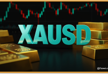 تحليل أسعار الذهب وتأثير خطابات الرؤساء والبنوك المركزية