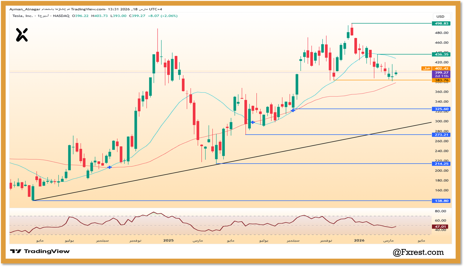 رسم بياني لسهم تسلا TSLA يوضح خط الاتجاه الصاعد ومستويات الدعم والمقاومة التاريخية مع مؤشر RSI.