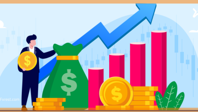 خدمات إدارة محافظ الفوركس: طريقة ذكية للاستثمار أم مخاطرة خفية