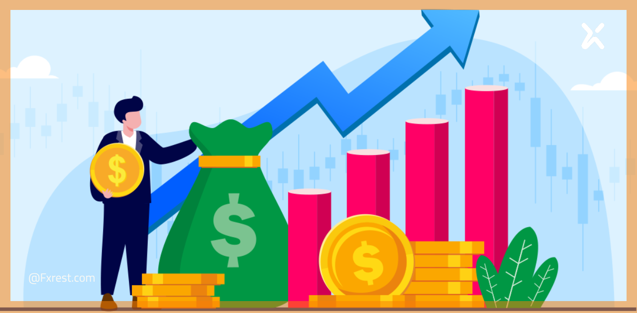 خدمات إدارة محافظ الفوركس: طريقة ذكية للاستثمار أم مخاطرة خفية