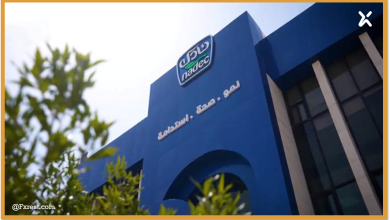 تحليل سهم نادك : قراءة في النتائج المالية الربعية ومستويات الارتداد الفني