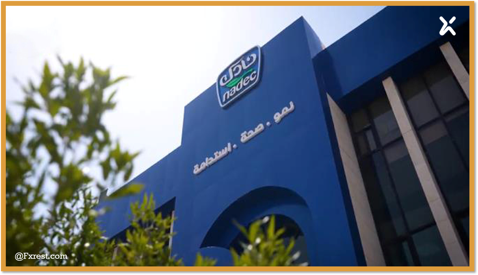 تحليل سهم نادك : قراءة في النتائج المالية الربعية ومستويات الارتداد الفني