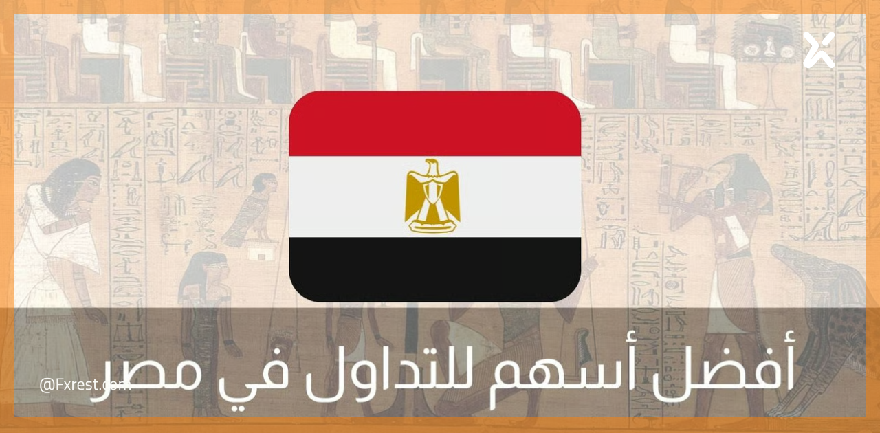 5 أسهم مصرية تمنحك أرباحًا نقدية منتظمة في 2026