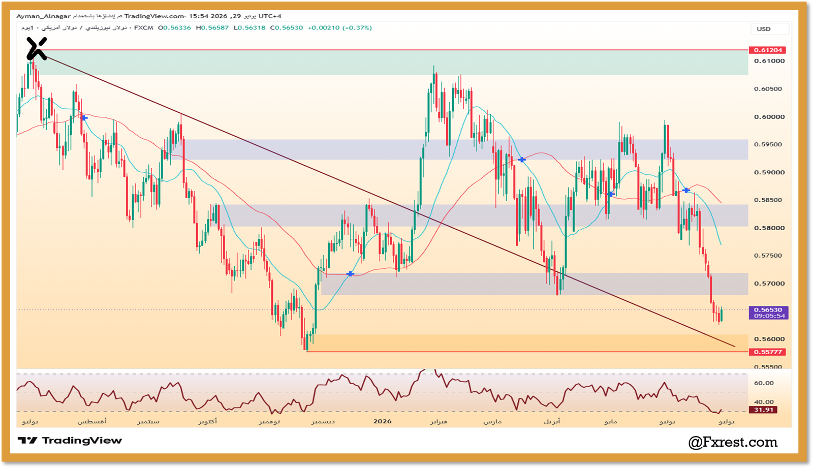 رسم بياني يومي يوضح تحليل زوج NZD/USD وهبوطه نحو مستوى 0.56530