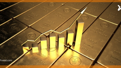 لماذا يرتفع سعر الذهب وينخفض أبرز العوامل التي تحرك المعدن النفيس